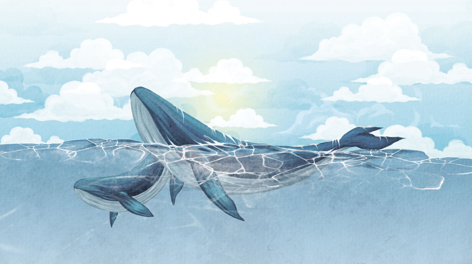 u74467p - Baleia a nadar na água - tegory