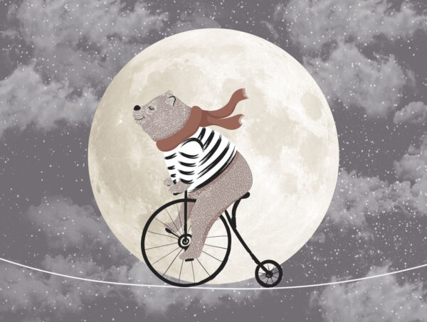Urso a andar de bicicleta Urso a andar de bicicleta