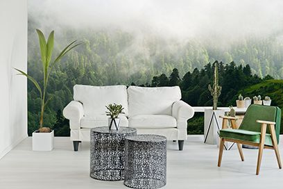 Floresta com nevoeiro e árvores