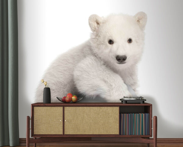 Urso polar a segurar uma bola Urso polar a segurar uma bola