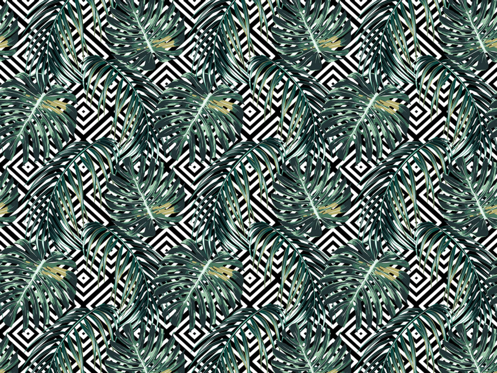 Padrão de folhas num fundo preto e branco Padrão de folhas num fundo preto e branco