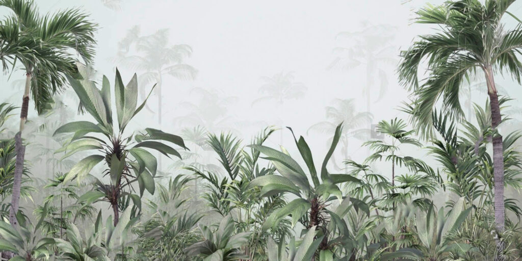 Grupo de plantas numa floresta com nevoeiro Grupo de plantas numa floresta com nevoeiro