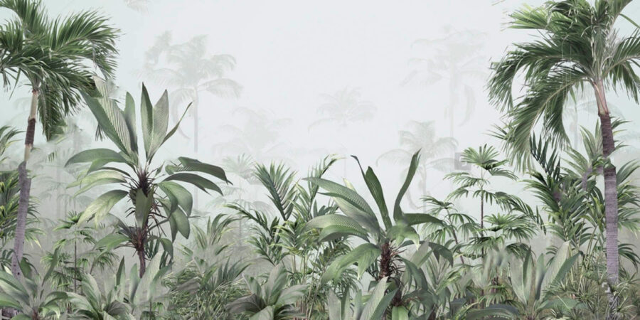Grupo de plantas numa floresta com nevoeiro