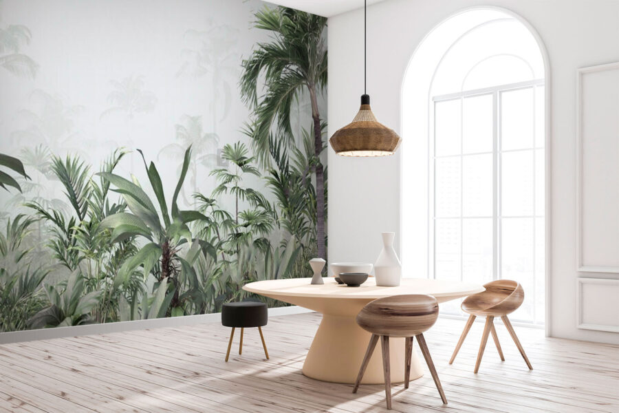 Grupo de plantas numa floresta com nevoeiro
