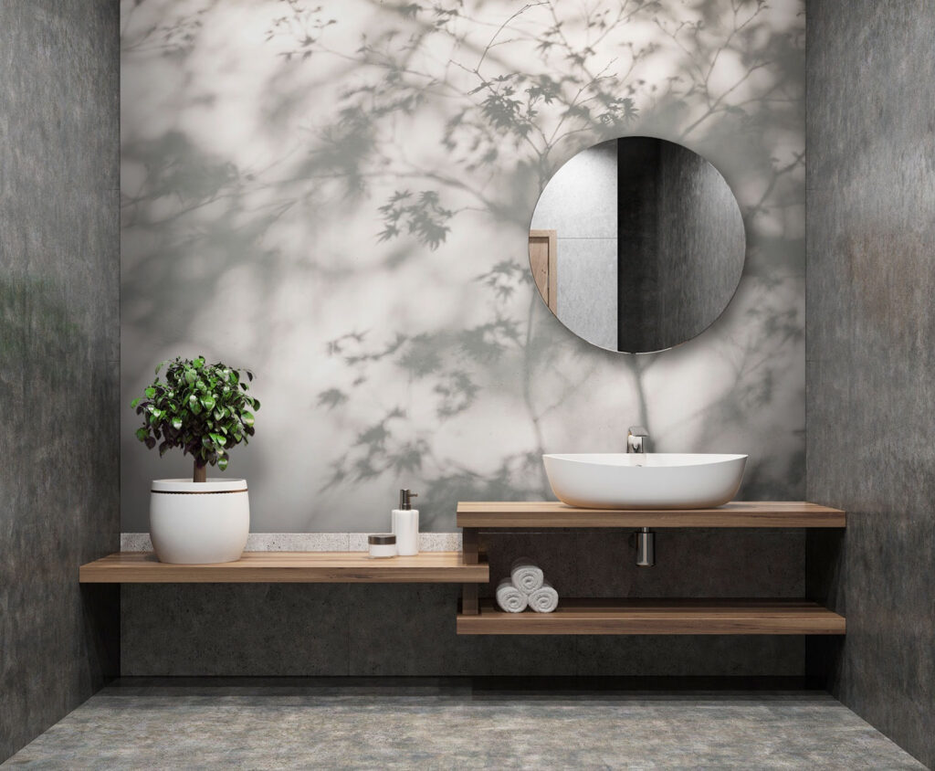 Shadows leaves on a wall Shadows leaves on a wall