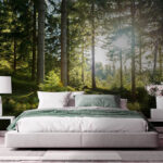 Papel de parede Sol a brilhar através das árvores