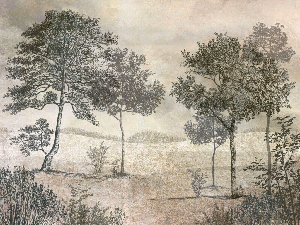 Desenho de árvores num campo Desenho de árvores num campo