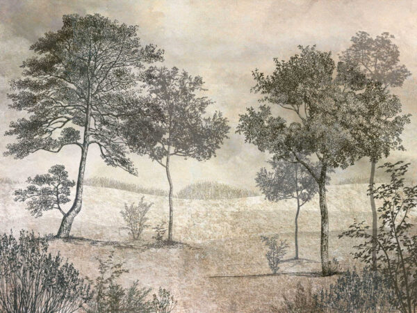 Desenho de árvores num campo Desenho de árvores num campo