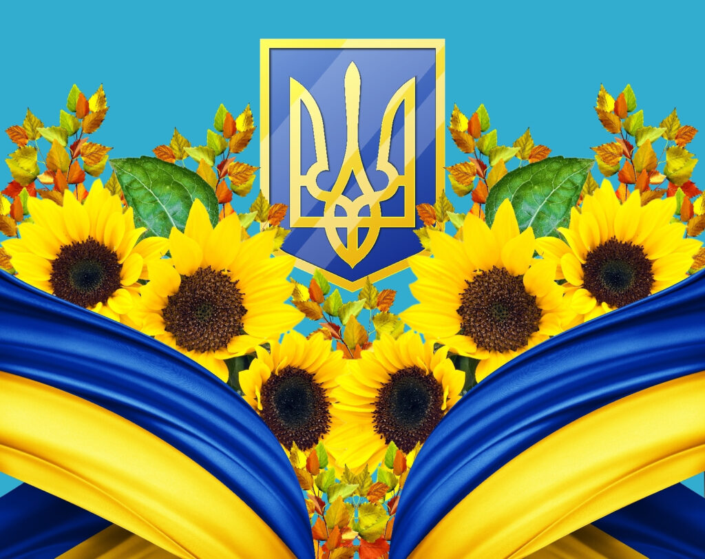 Grupo de girassóis e um cortinado azul e amarelo Grupo de girassóis e um cortinado azul e amarelo