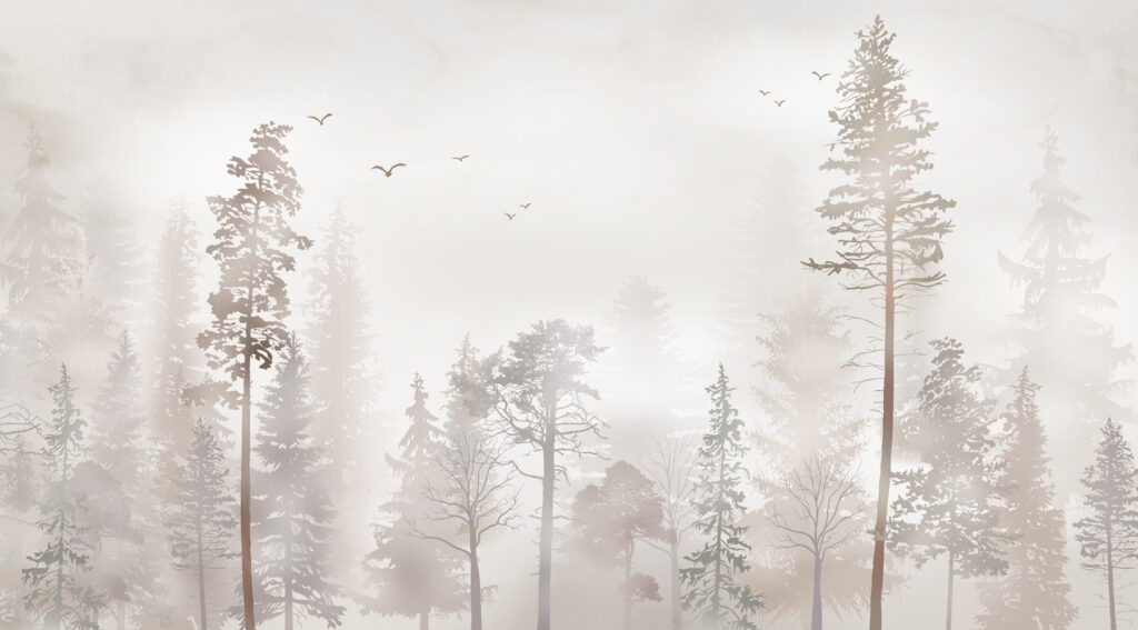 A group of trees in a foggy forest