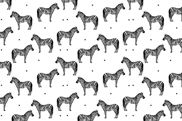 Um padrão de zebras sobre um fundo branco Um padrão de zebras sobre um fundo branco
