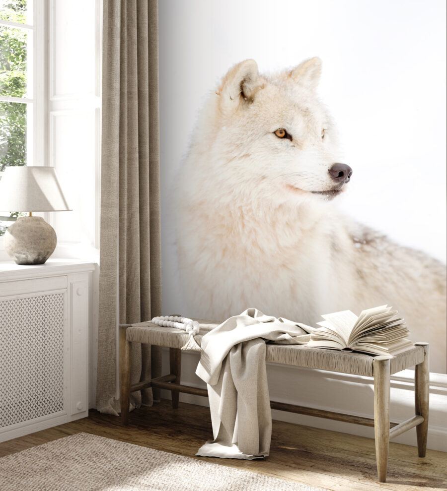 Papel de parede Um lobo branco na neve - Image 3
