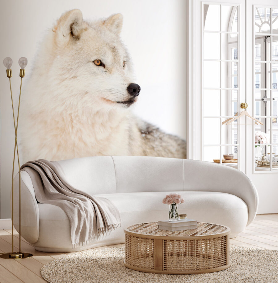 Papel de parede Um lobo branco na neve - Image 2