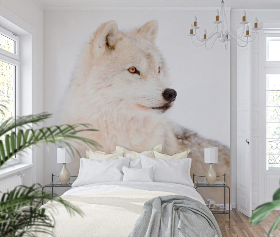 Papel de parede Um lobo branco na neve