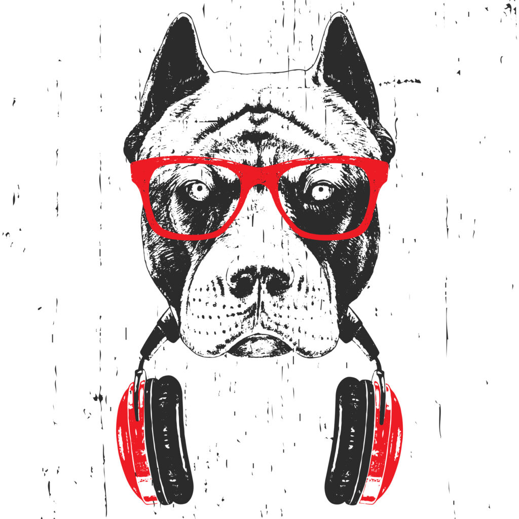 Um cão com óculos e auscultadores Um cão com óculos e auscultadores