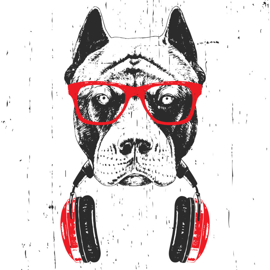 Um cão com óculos e auscultadores Um cão com óculos e auscultadores
