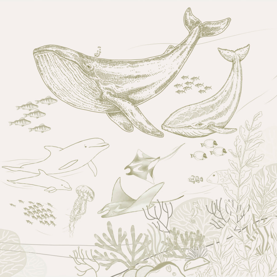 Um desenho de uma baleia e uma baleia