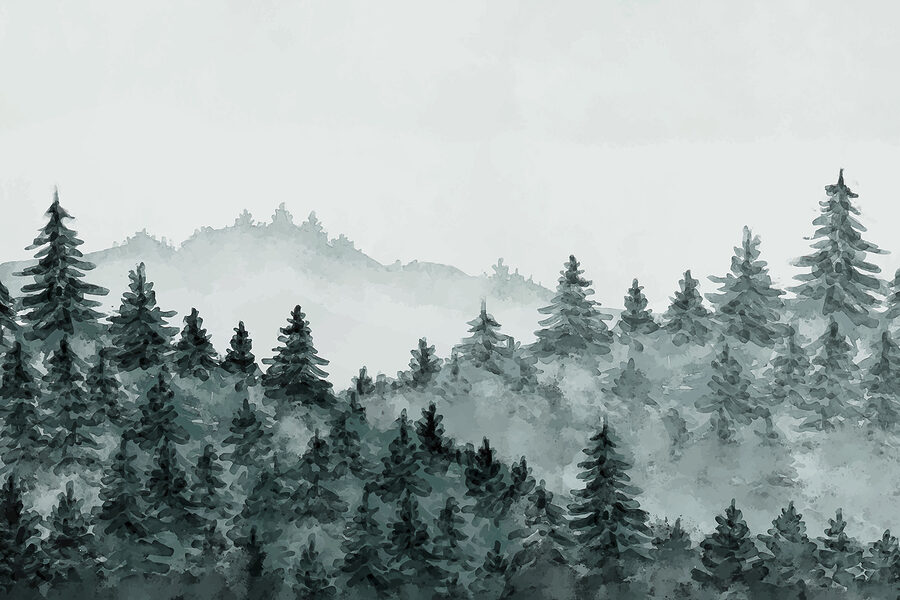 Uma floresta de nevoeiro com árvores