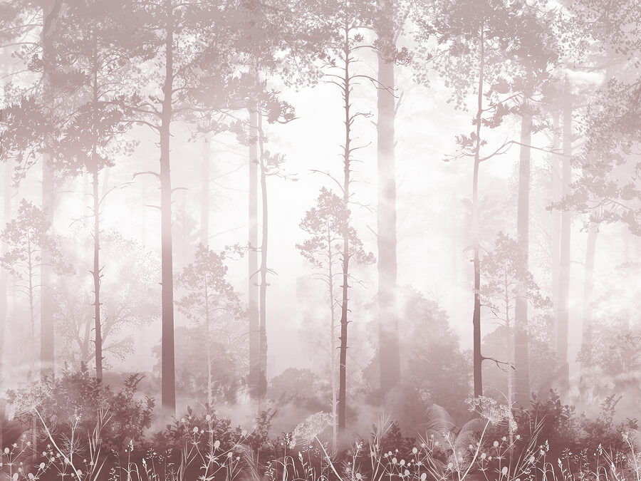 Uma floresta de nevoeiro com árvores altas