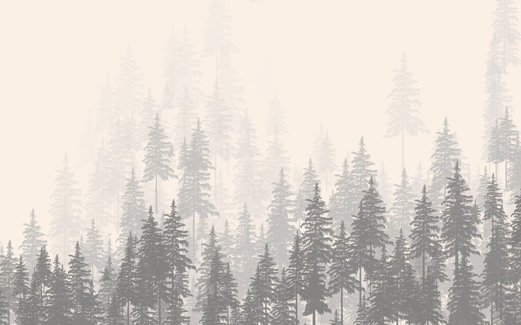 Um grupo de árvores numa floresta Um grupo de árvores numa floresta