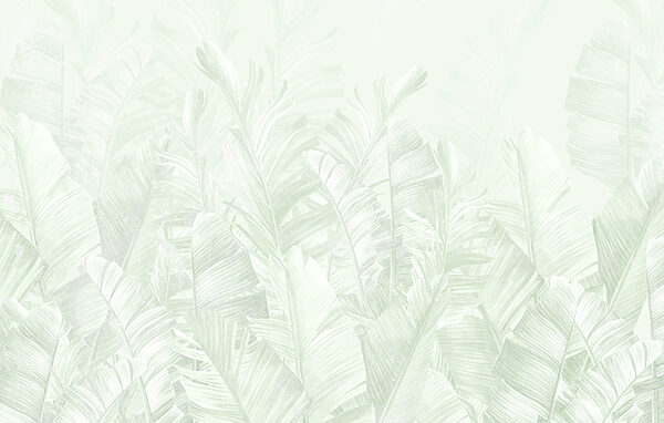 Folhas verdes macias em camadas suaves. Folhas verdes macias em camadas suaves.