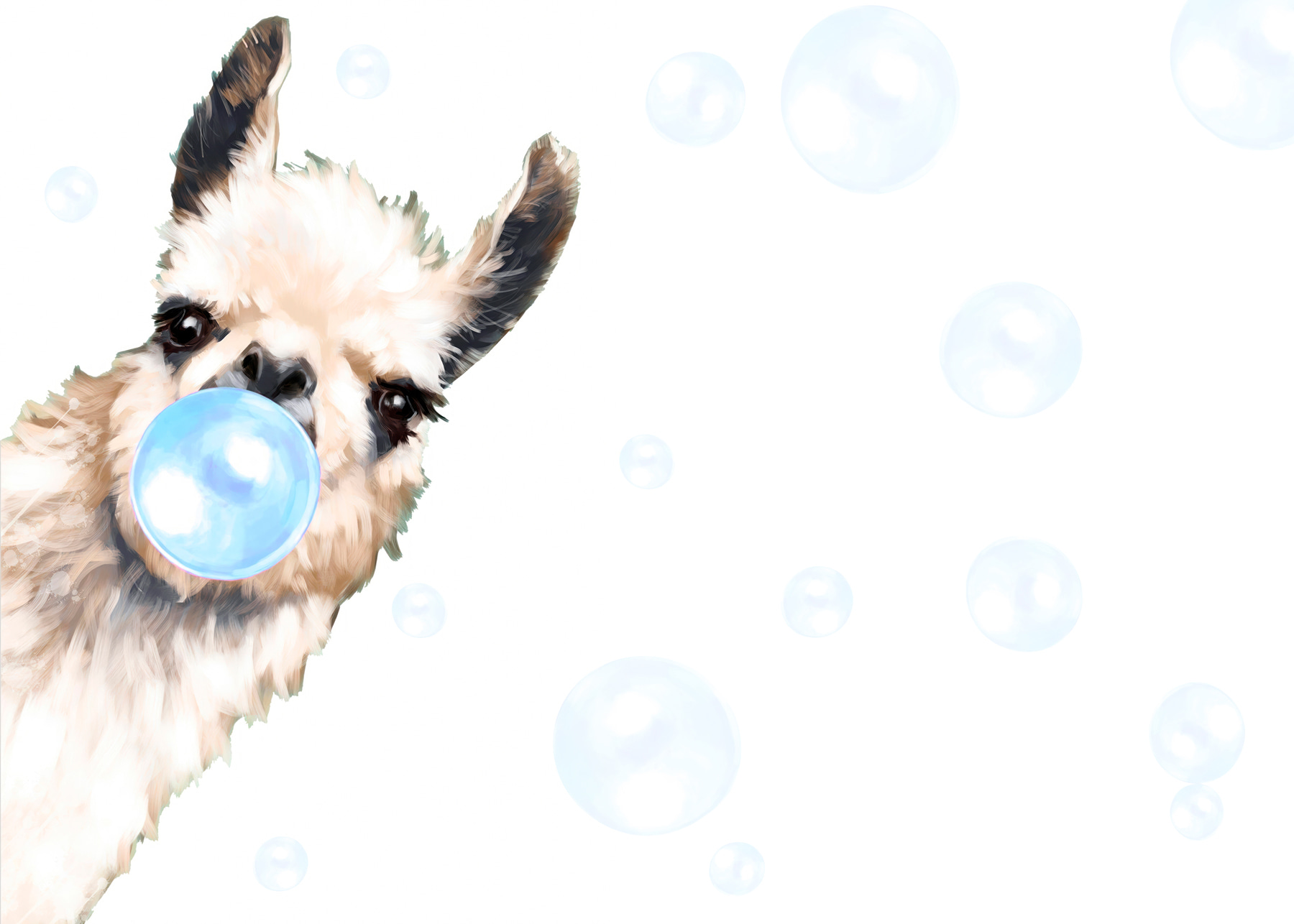 A llama blowing bubbles