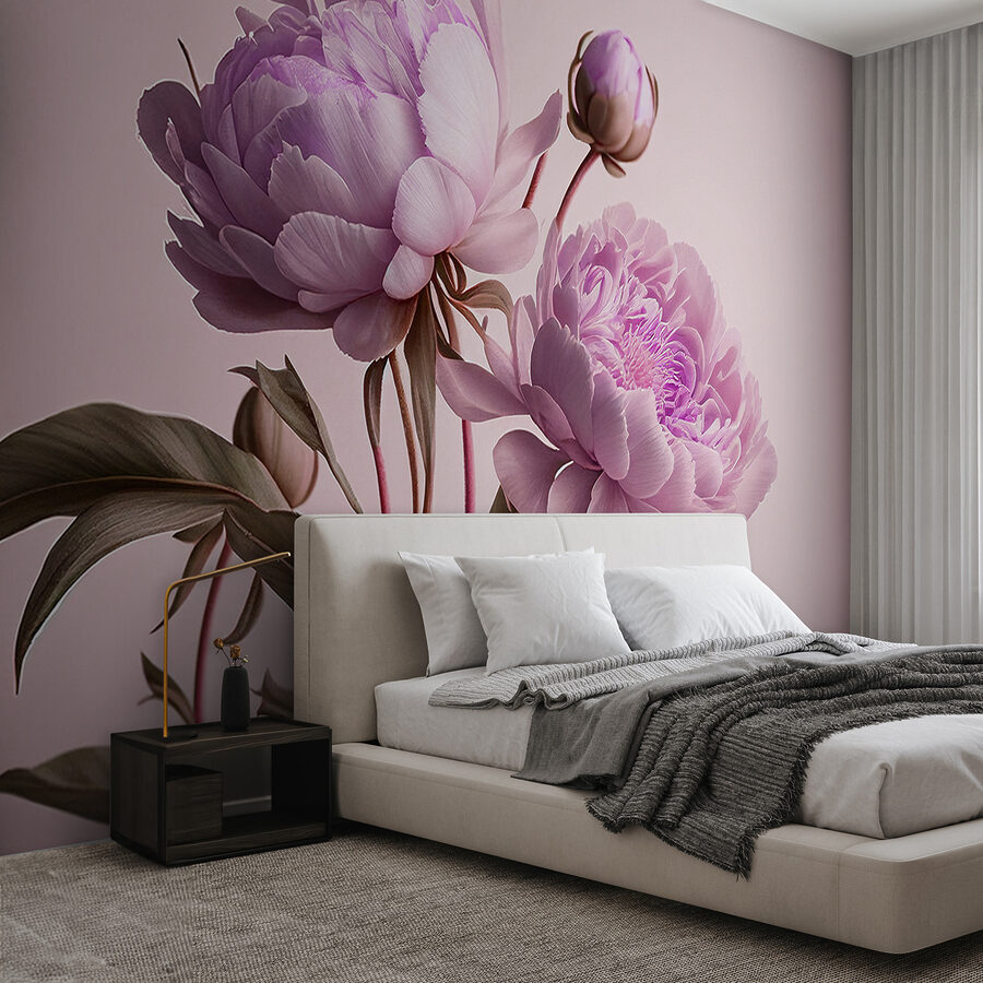 Elegantes peónias cor-de-rosa em suave floração.