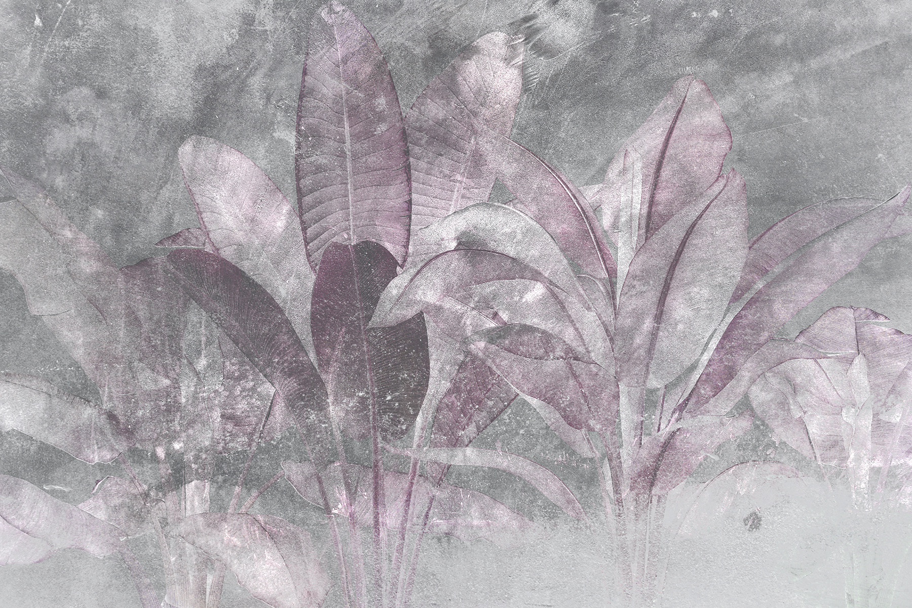 Subtle hues of nature's beauty