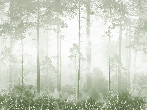 Uma floresta de nevoeiro com árvores altas Uma floresta de nevoeiro com árvores altas