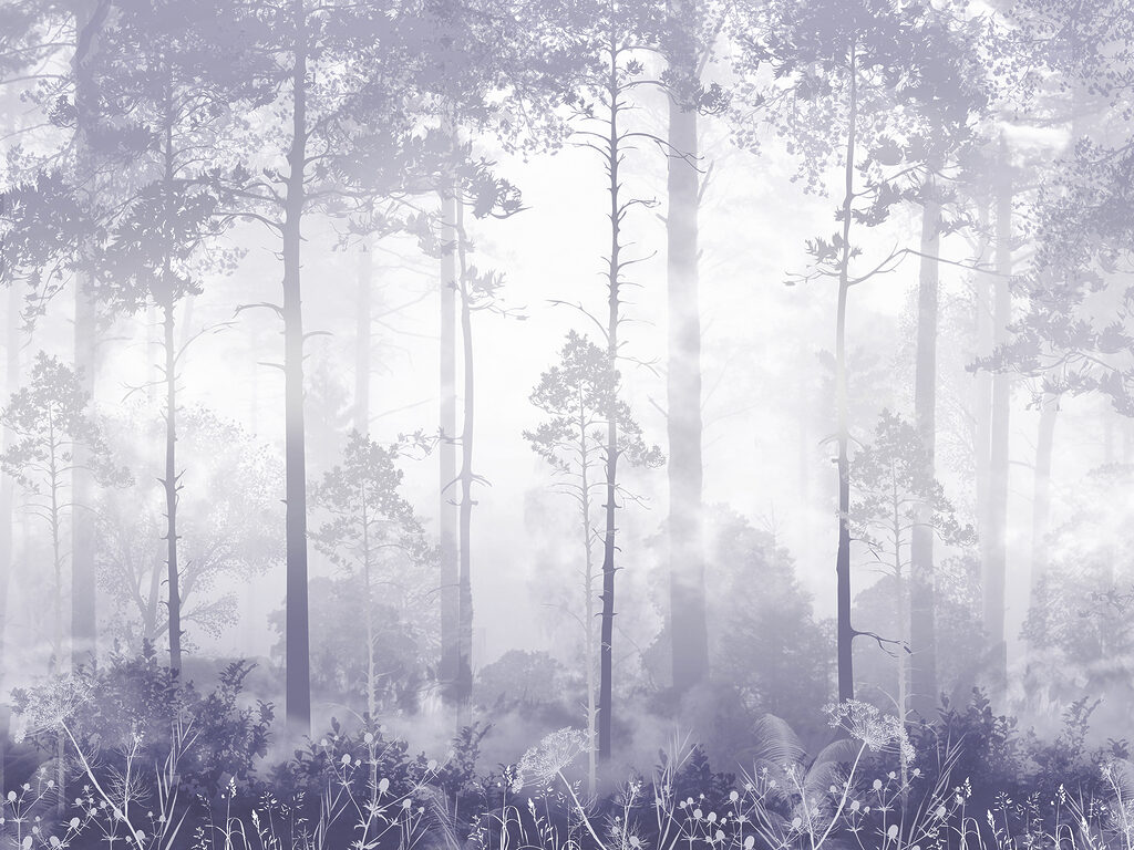 A foggy forest with tall trees
