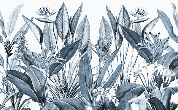 Folhagem tropical em tons monocromáticos. Folhagem tropical em tons monocromáticos.