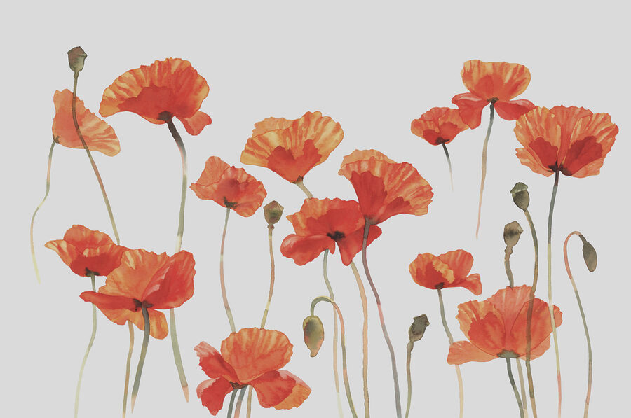 Papel de parede Um grupo de flores cor de laranja - Image 4
