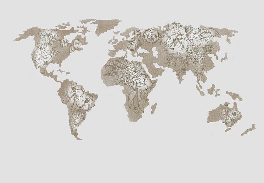 Um mapa do mundo