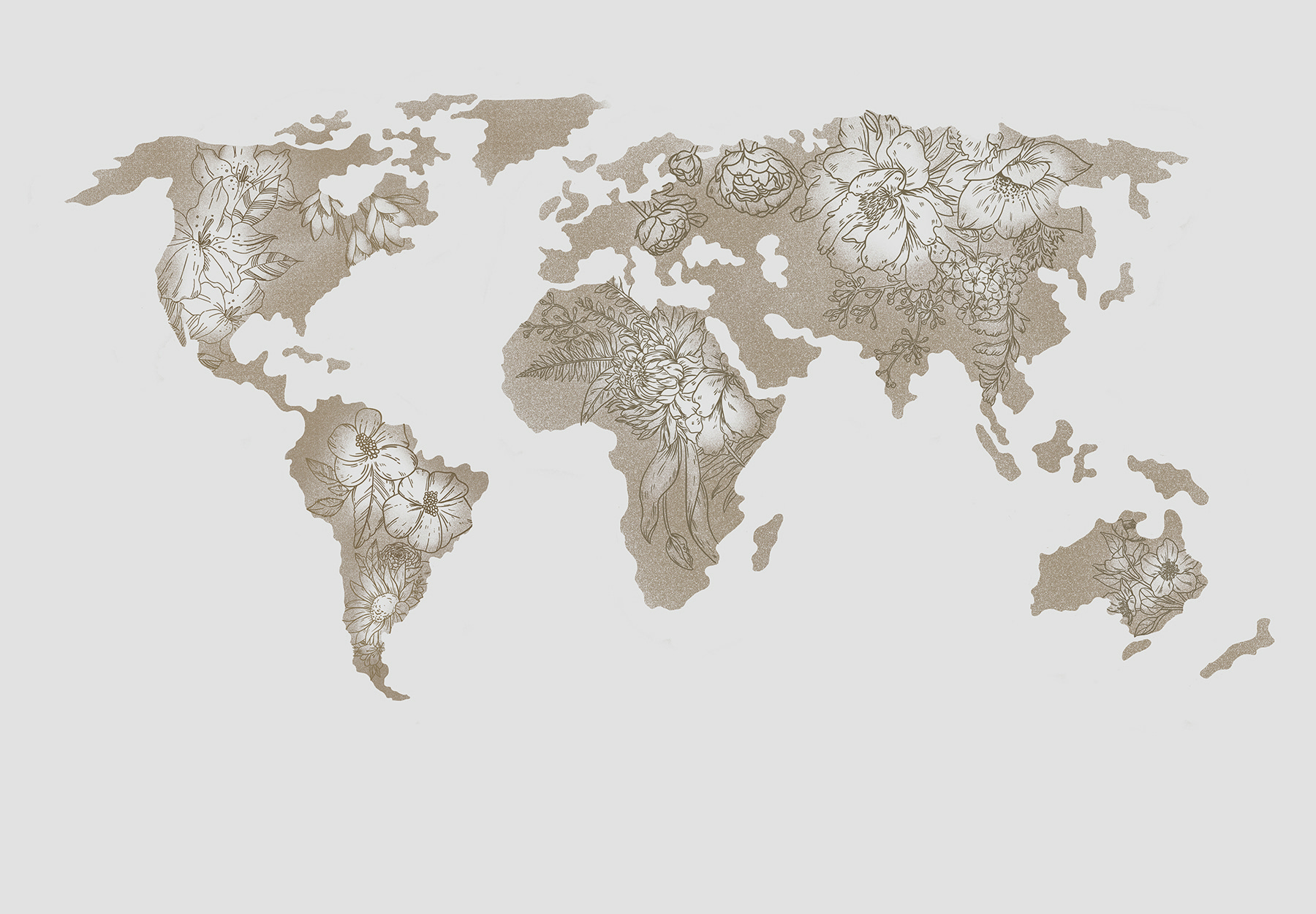 A map of the world