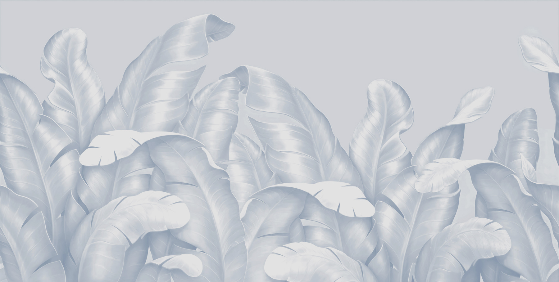 A close up of leaves