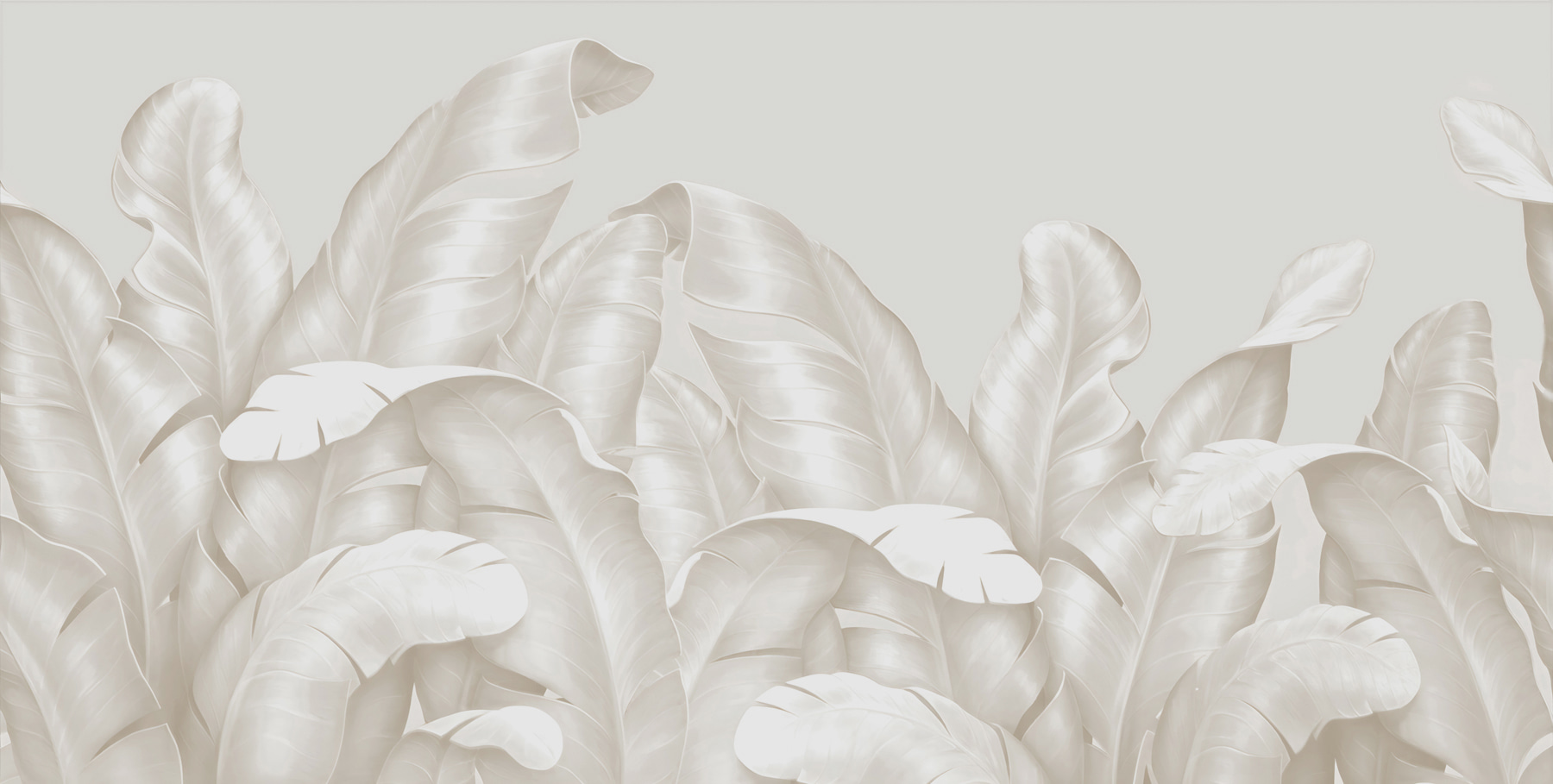 A close up of leaves