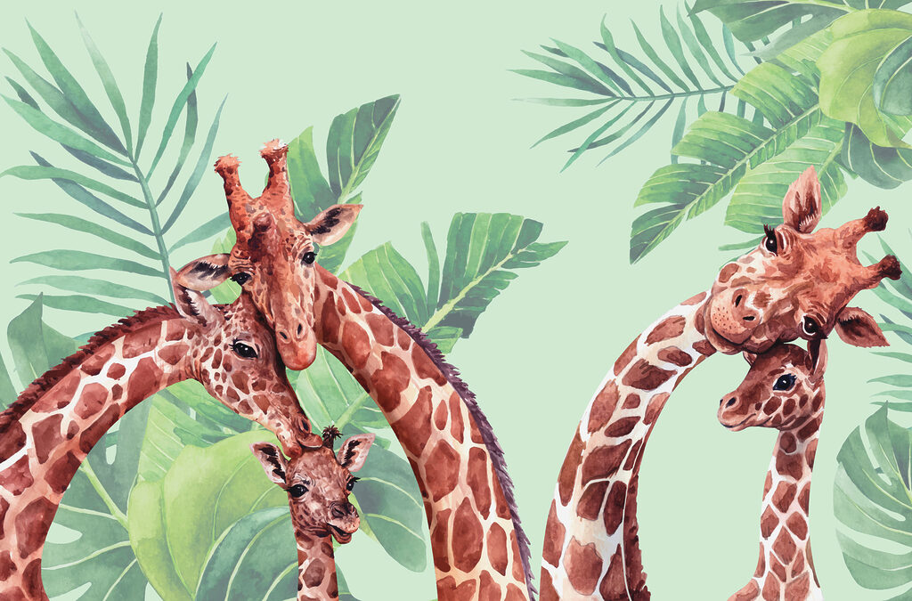 Um grupo de girafas com as cabeças juntas Um grupo de girafas com as cabeças juntas