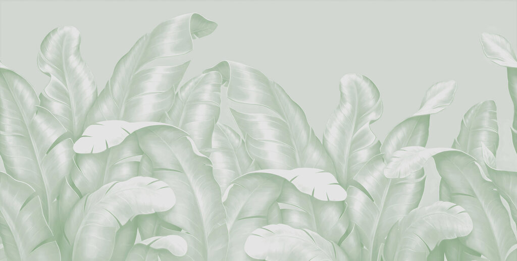 A close up of leaves