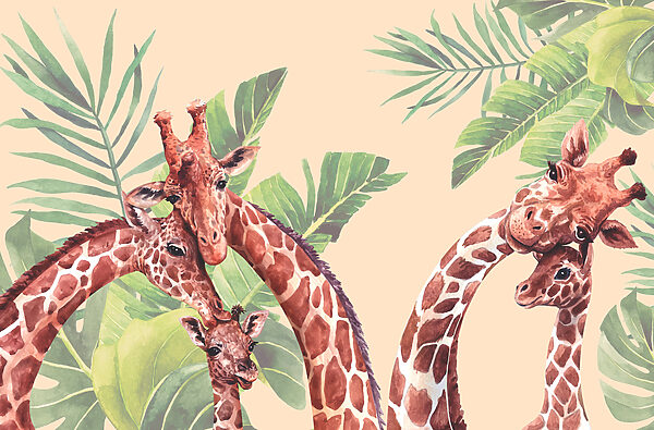 Um grupo de girafas com pescoço comprido Um grupo de girafas com pescoço comprido