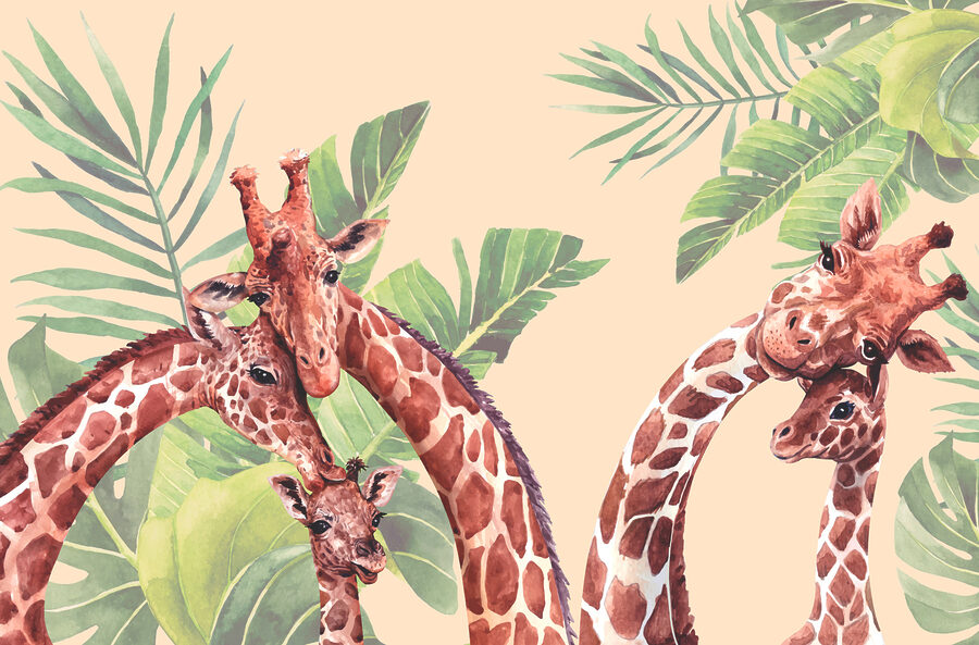 Um grupo de girafas com pescoço comprido