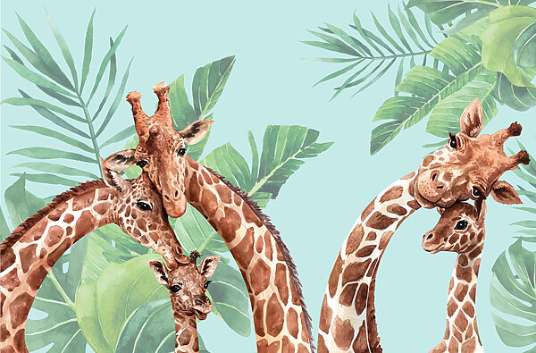 Um grupo de girafas com as cabeças juntas Um grupo de girafas com as cabeças juntas