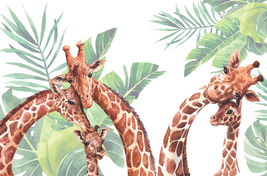 Um grupo de girafas com a cabeça à frente de folhas Um grupo de girafas com a cabeça à frente de folhas