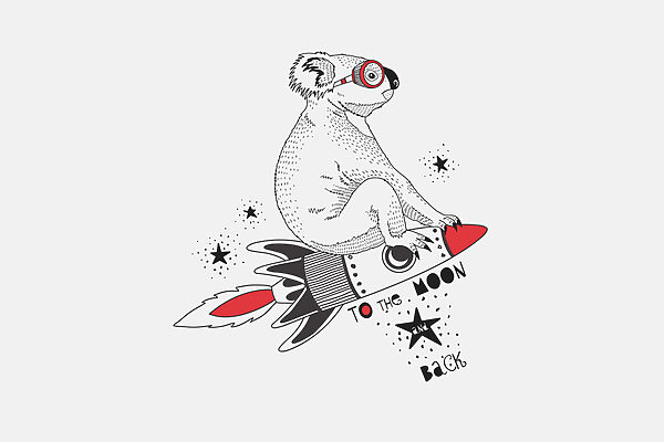 Um koala num foguetão Um koala num foguetão