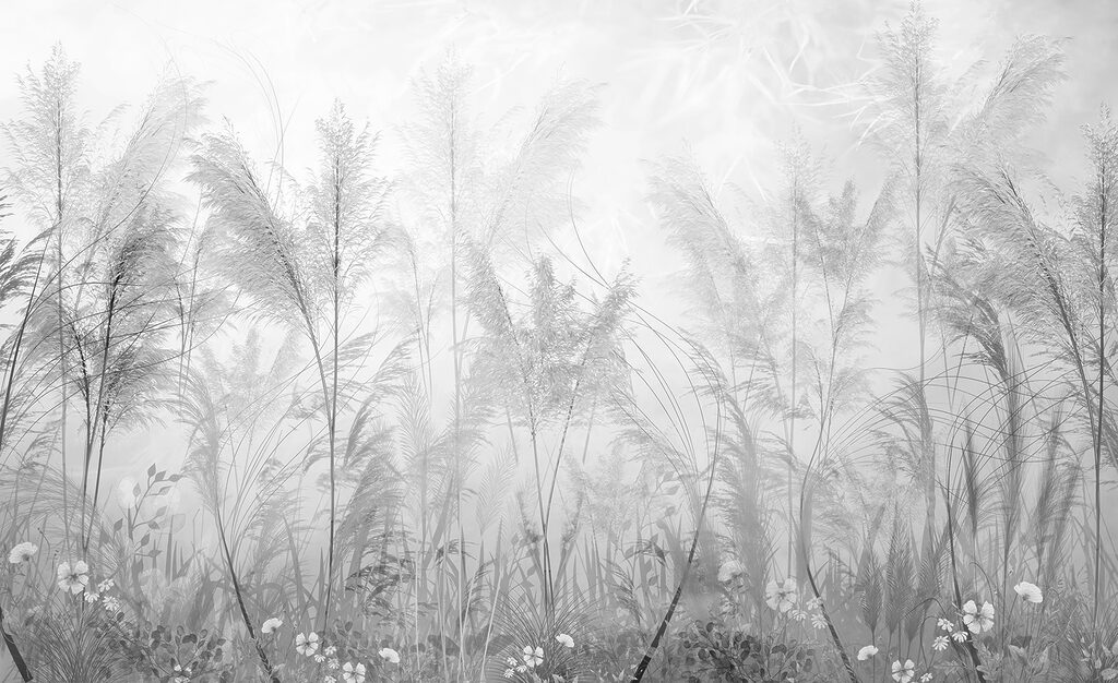 Um campo de relva e flores Um campo de relva e flores