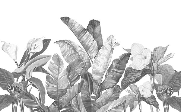 Um grupo de folhas tropicais Um grupo de folhas tropicais