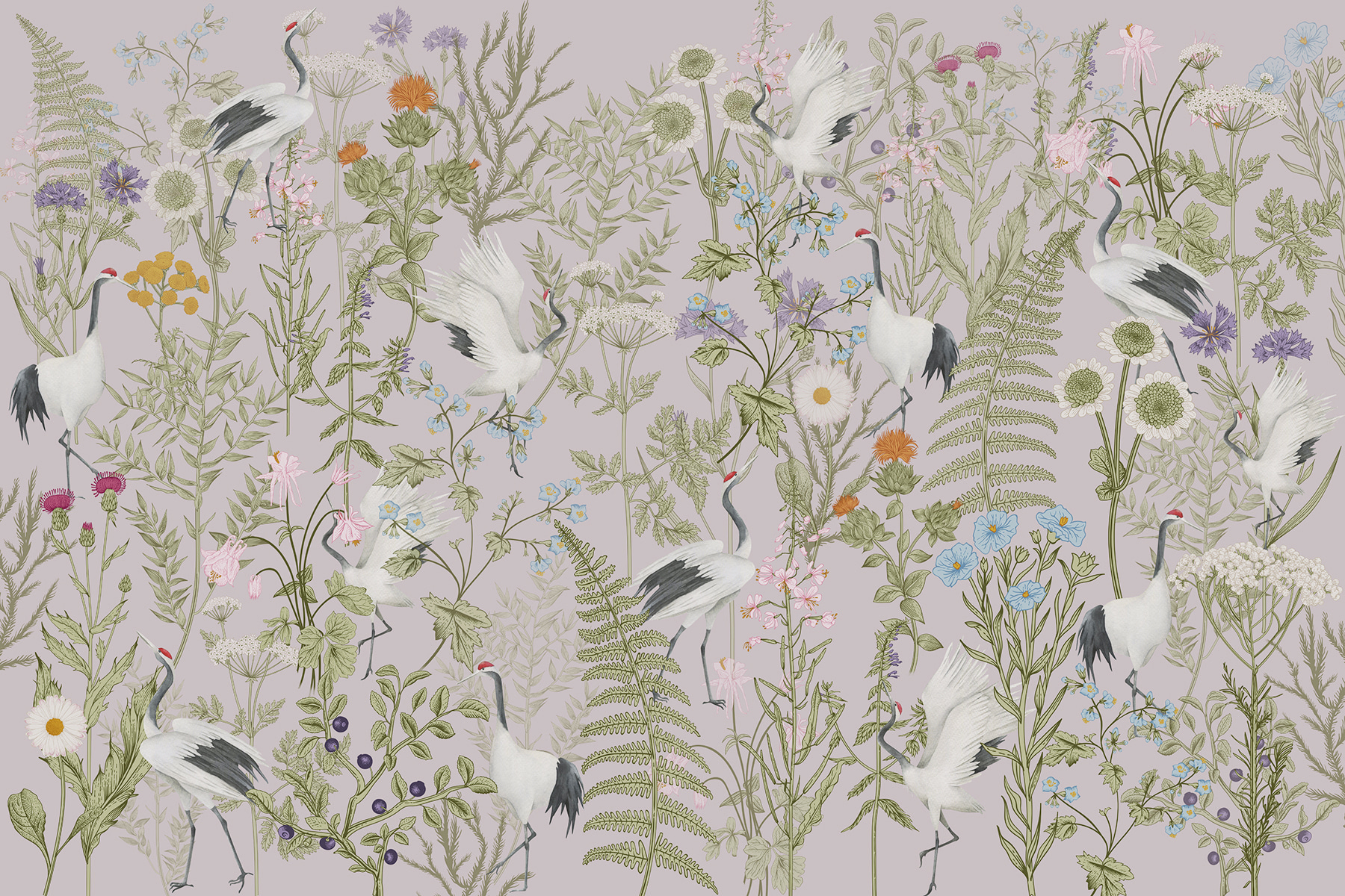 A wallpaper with birds and plants A wallpaper with birds and plants