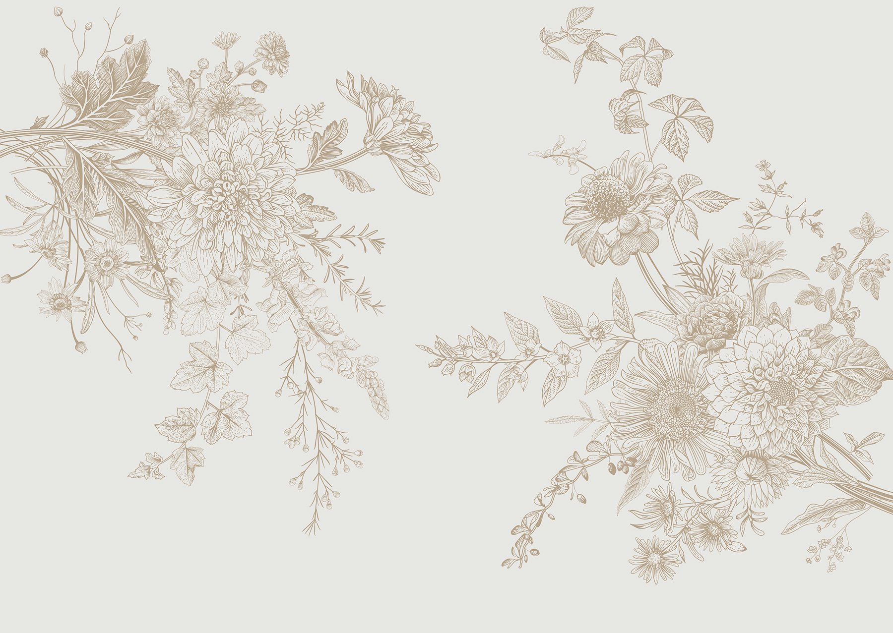 A close up of flowers