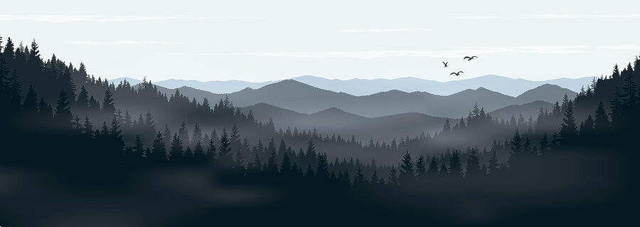 Uma paisagem de montanhas e árvores
