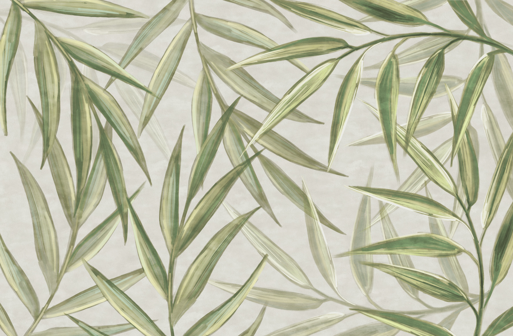 A close up of leaves A close up of leaves