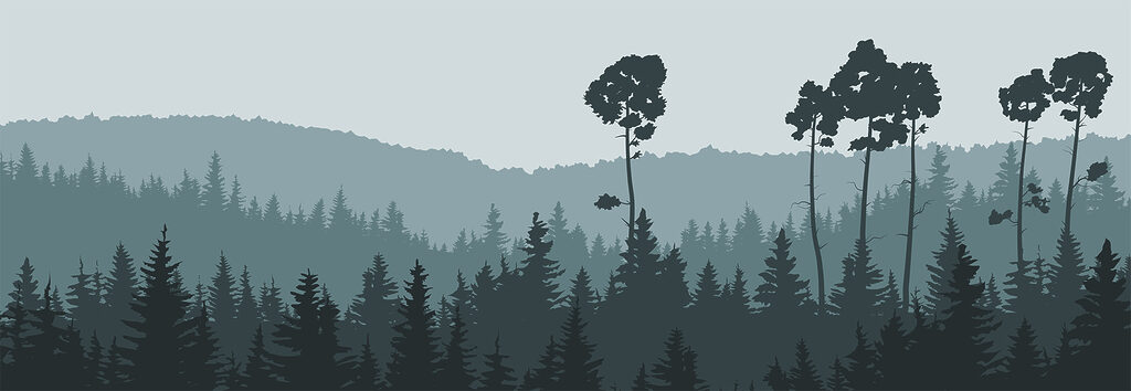 Uma árvore numa floresta Uma árvore numa floresta